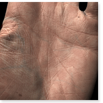 A Layered, Heterogeneous Reflectance Model for Acquiring and Rendering Human Skin